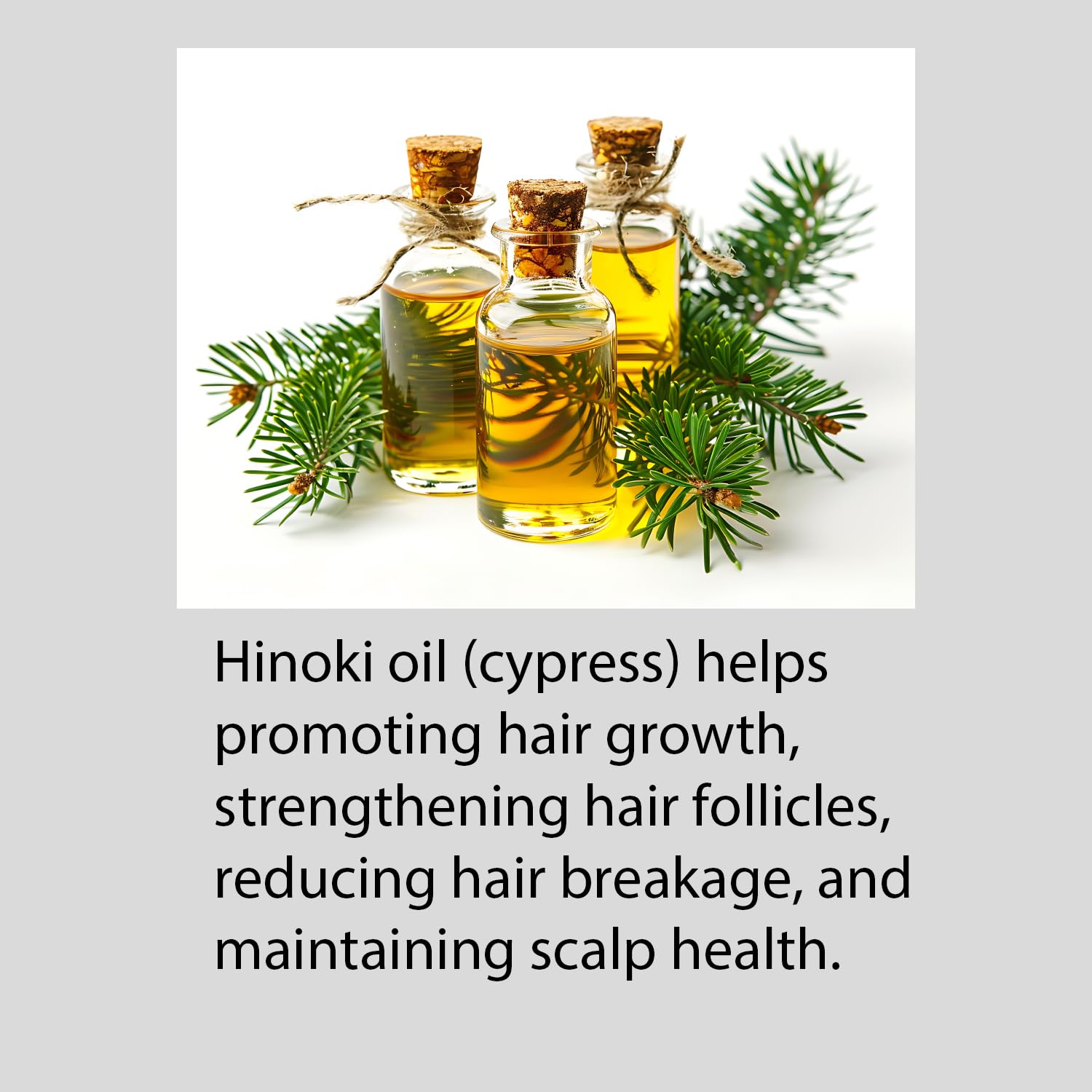 Hayashi Hinoki Shampoo packaging-box displays premium bottle and eco-friendly branding