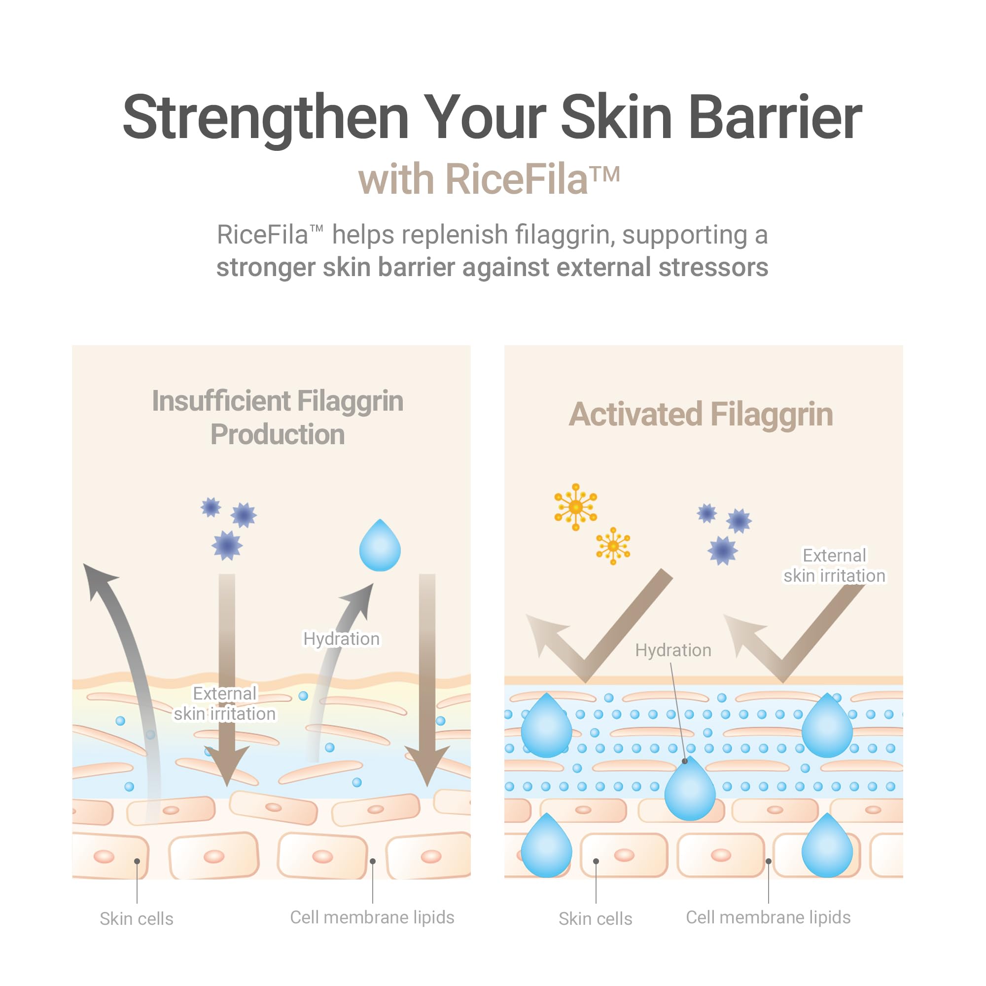 HAYEJIN RiceFila hypoallergenic formula, ideal for sensitive skin.