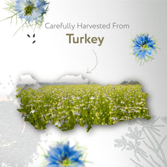 HBNO Black Seed Oil pour shot for easy kitchen and vanity use.
