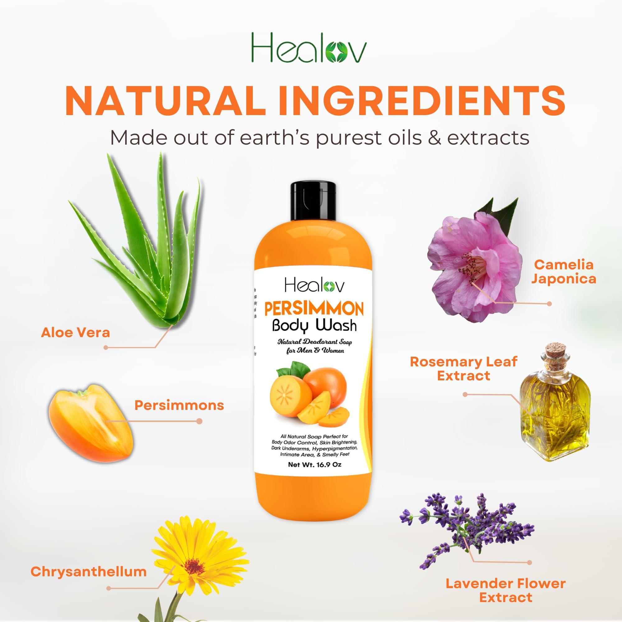 Healov Persimmon lather action shows rich foam for fresh cleansing.