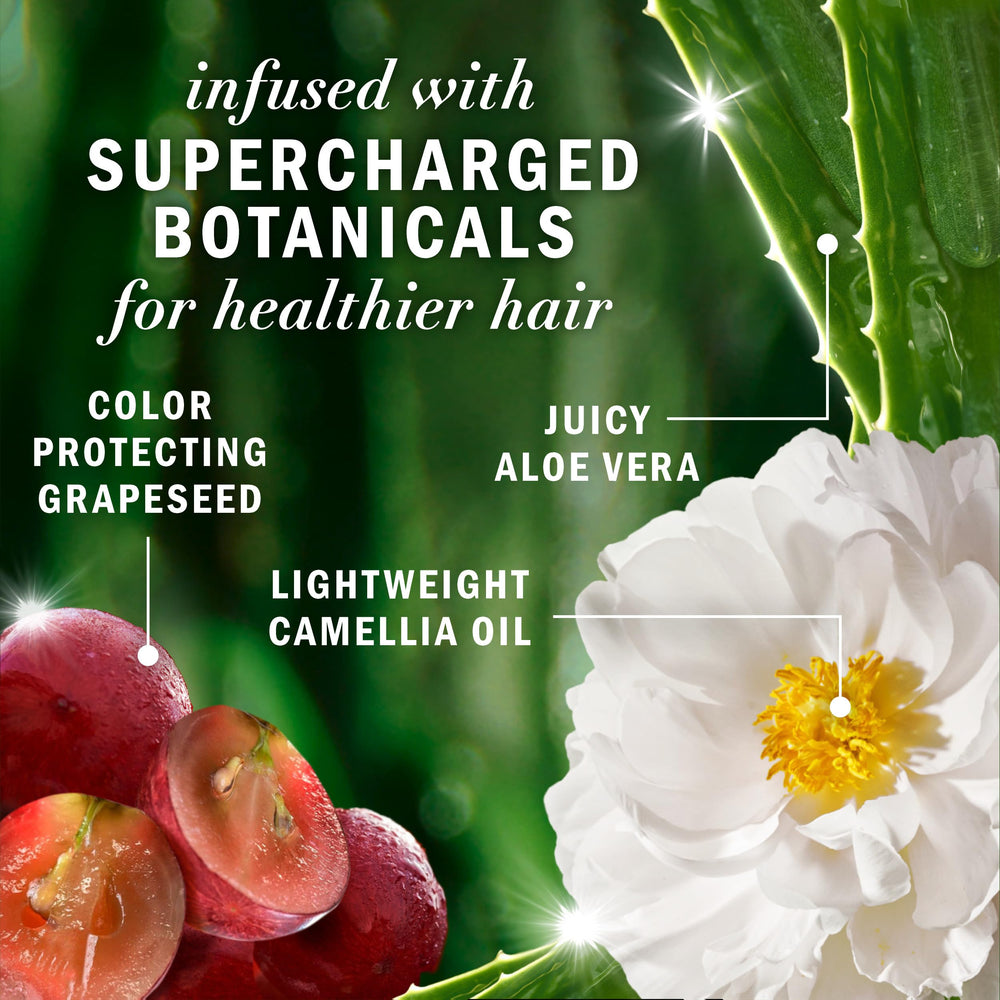 Packaging front showing color protection for color-treated hair