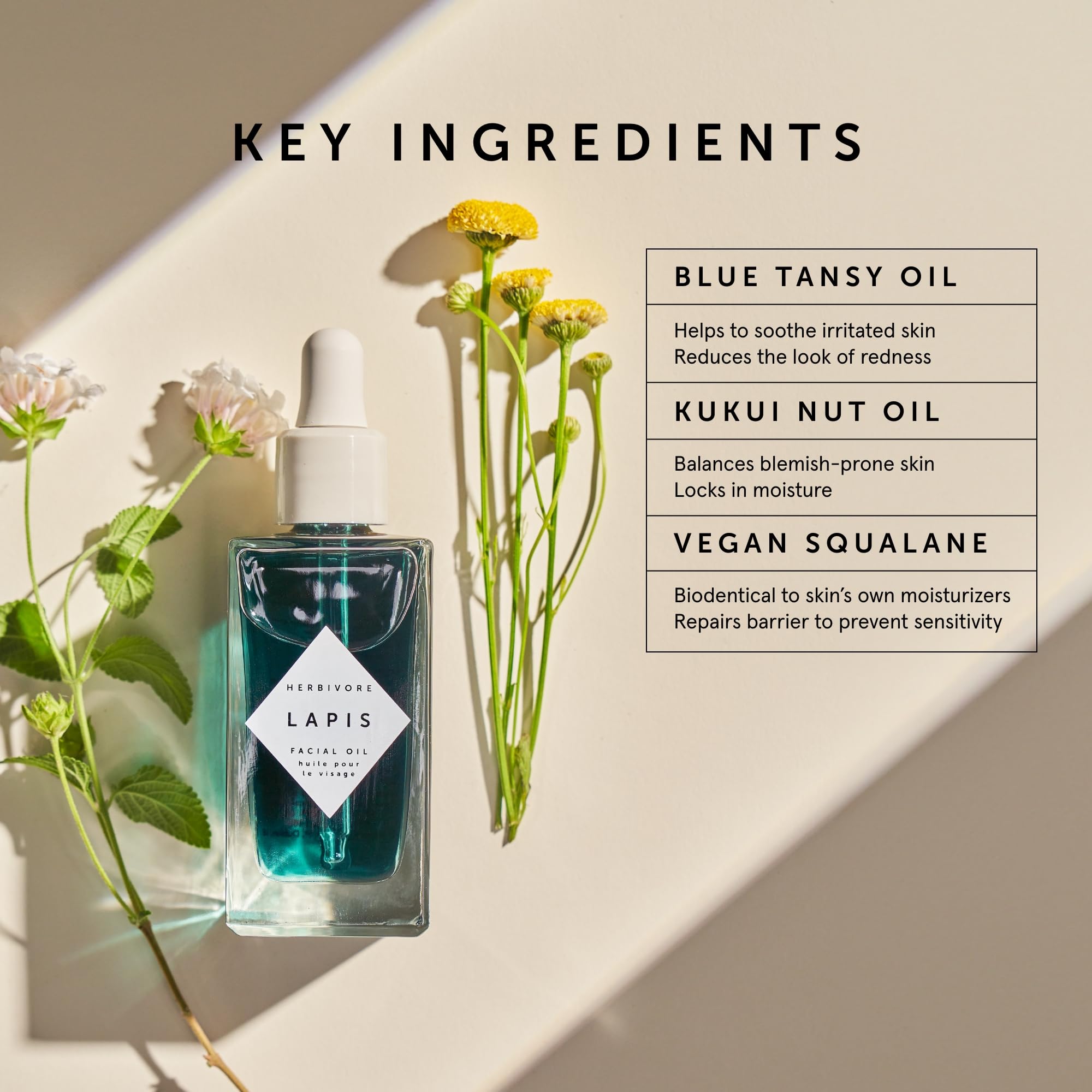 Herbivore Lapis Facial Oil application on clean skin supports balanced complexion.