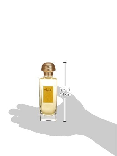 Hermès Caleche EDT packaging box depicts luxury presentation for gifting occasions.
