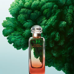 Hermès Un Jardin Sur La Lagune full bottle on a clean display for daytime wear.