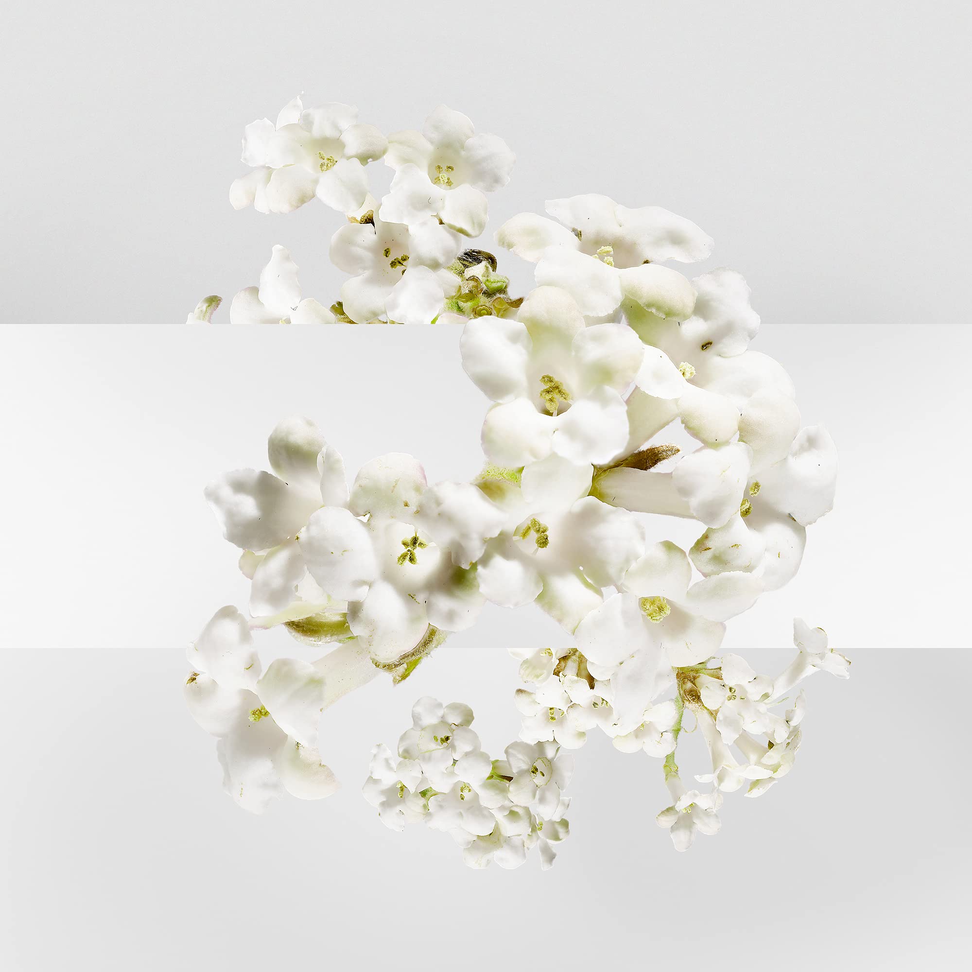 Hermès Un Jardin Sur La Lagune lifestyle shot evokes a fresh floral-woody mood.
