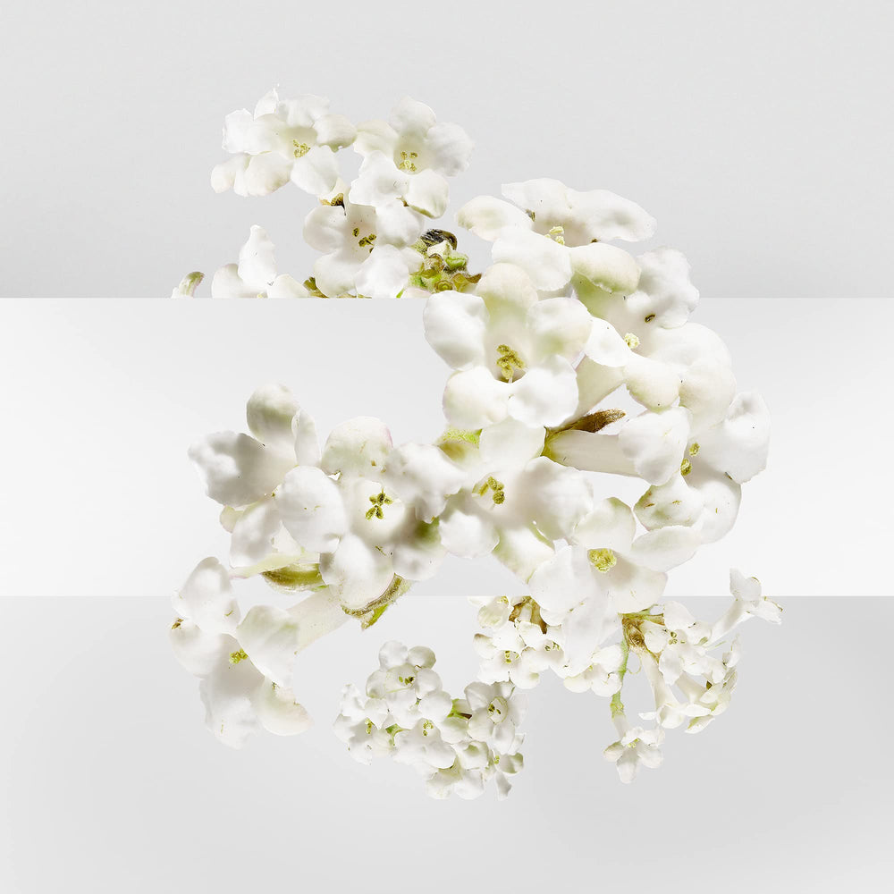 Hermès Un Jardin Sur La Lagune lifestyle shot evokes a fresh floral-woody mood.