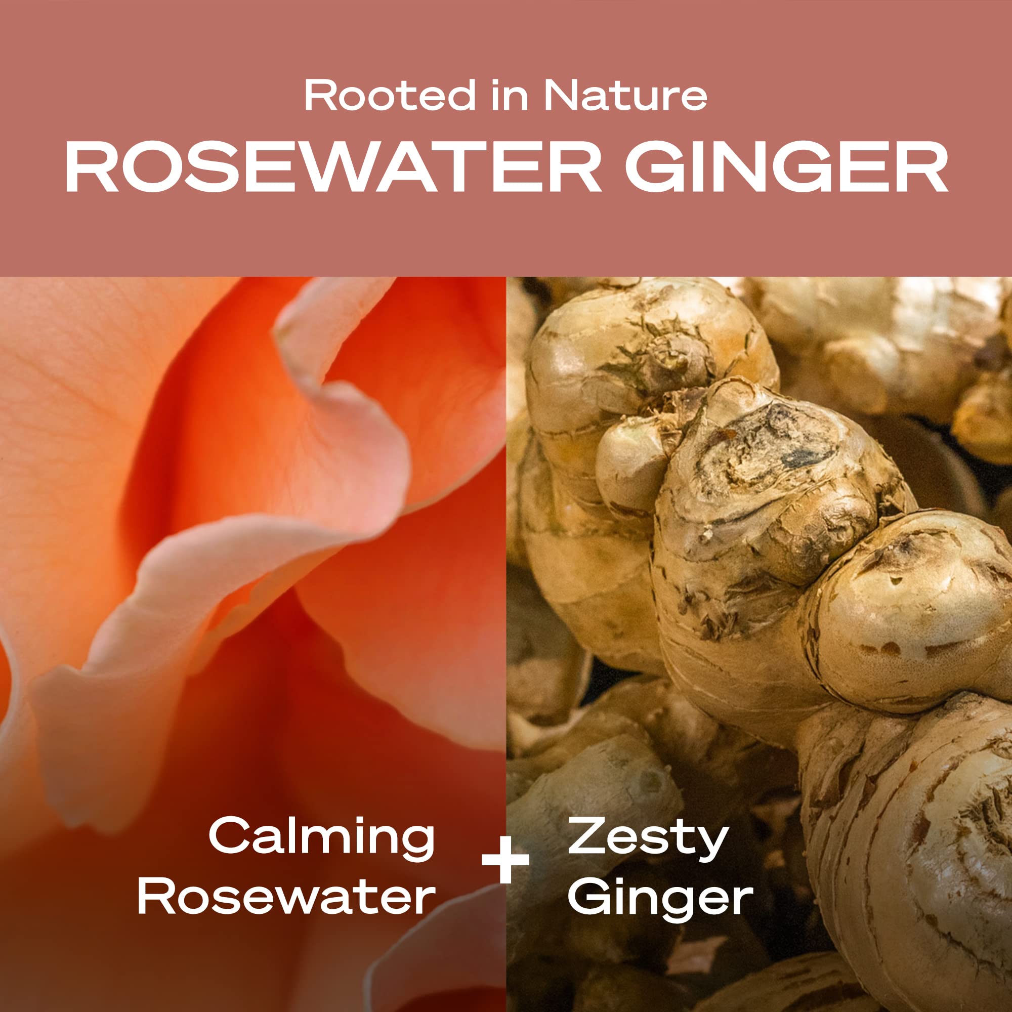 Creamy lather from Hey Humans Rosewater Ginger body wash during a shower