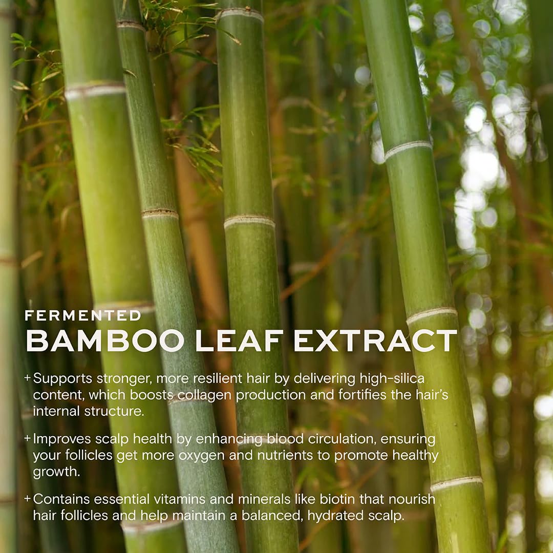 Highbrow Hippie shiitake-extract antioxidant-support helps protect color and shine.
