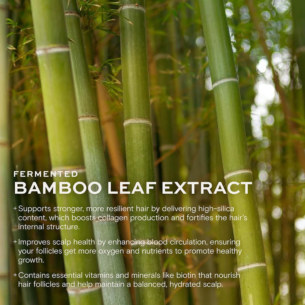 Highbrow Hippie shiitake-extract antioxidant-support helps protect color and shine.