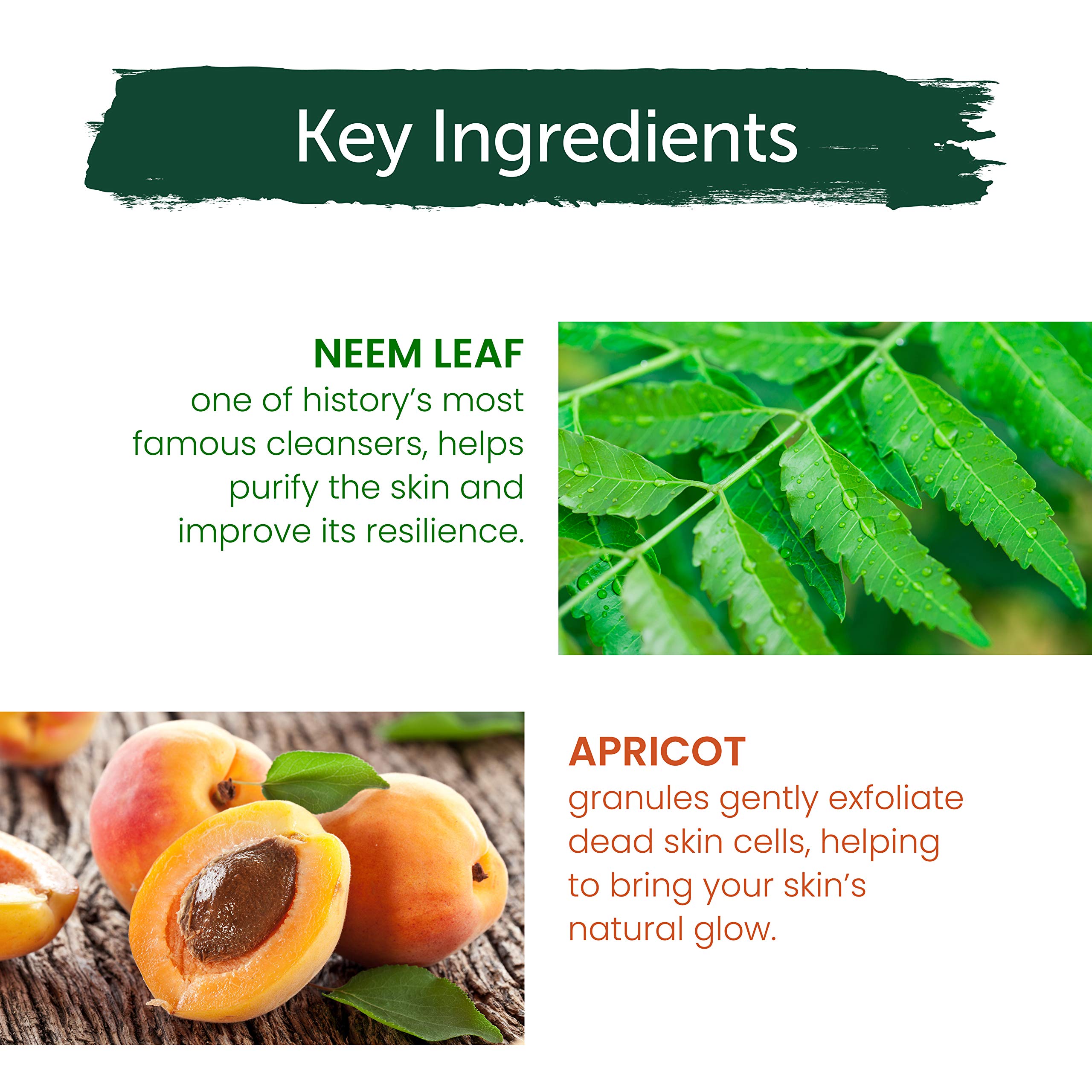 Dispensing cap on Himalaya Neem Scrub for easy weekly use.