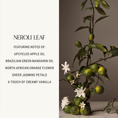 Rich lather from Homecourt Neroli Leaf shows moisturizing foam