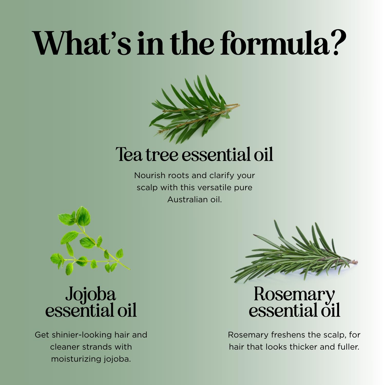 HONEYDEW Invigorating Tea Tree Mint Shampoo rosemary mint blend aroma.