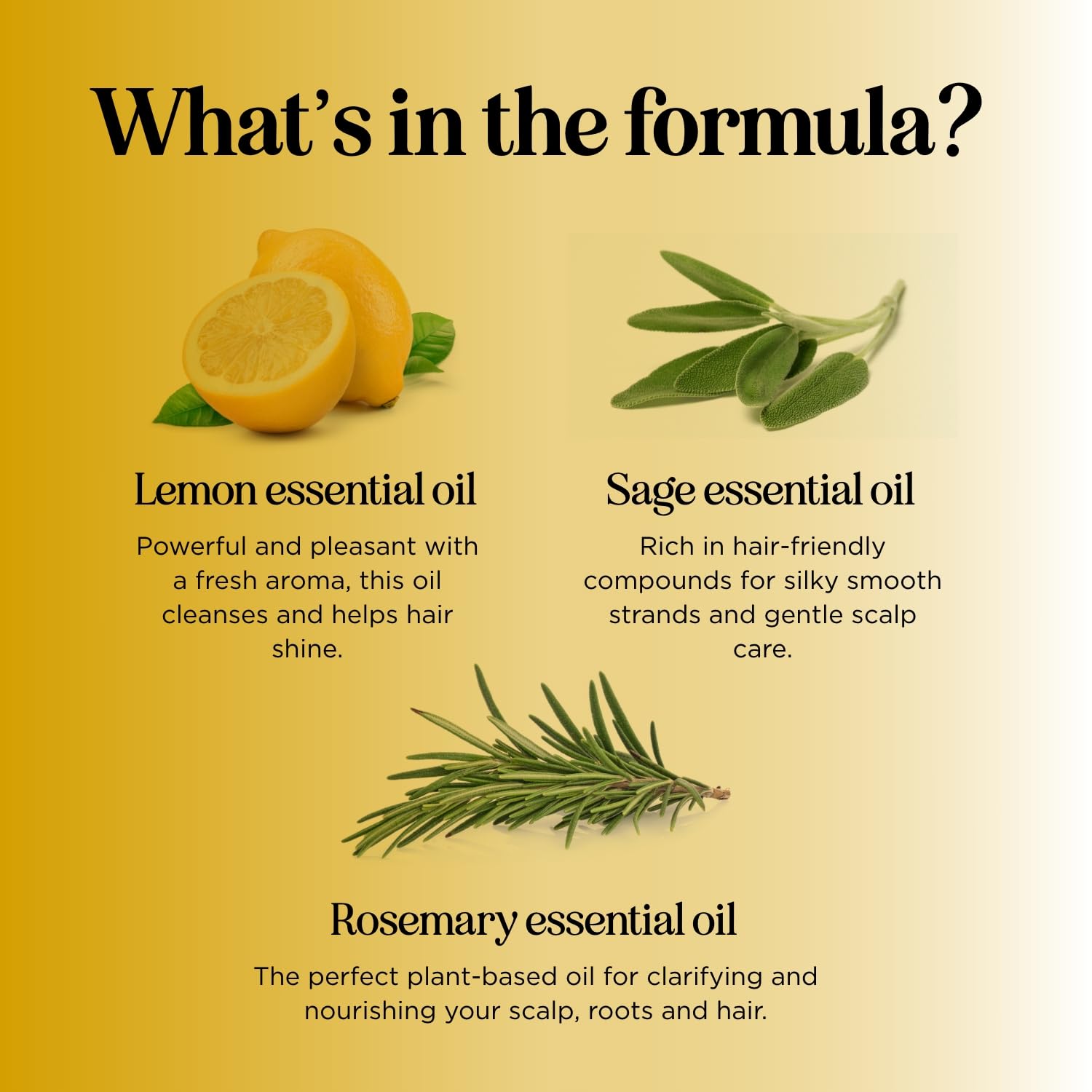 Honeydew Lemon Sage Shampoo on hair for added volume.