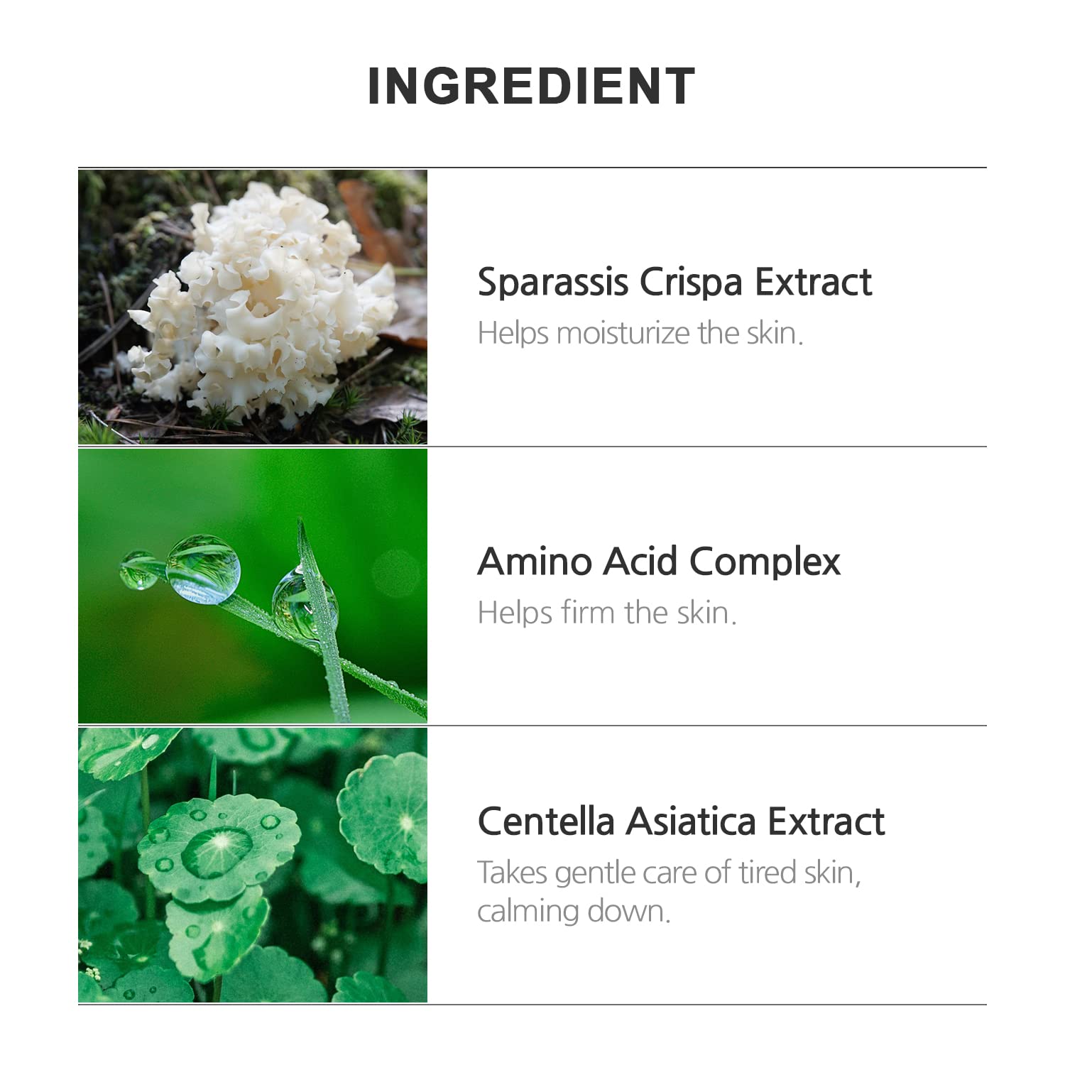 INCELLDERM RIMAN Giant BYoungPool Leaf Water base image supports lasting moisture.