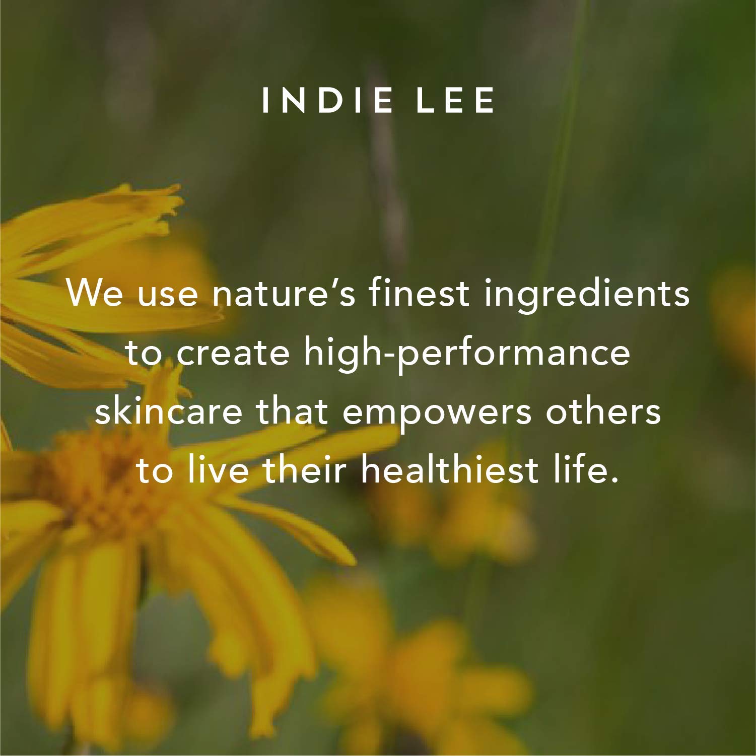 Indie Lee I-Waken ingredients collage emphasizes Horse Chestnut and Chamomile benefits