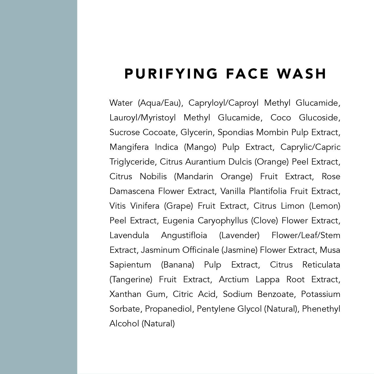 Compact 4 oz bottle of Indie Lee Purifying Face Wash for travel