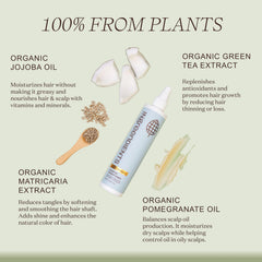 Ingreendients Detangler bottle label highlights sulfate-free, silicone-free formula for healthier strands.