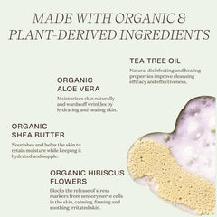 Ingreendients moisturizing body wash label closeup shows plant-based, clean ingredients for sensitive skin