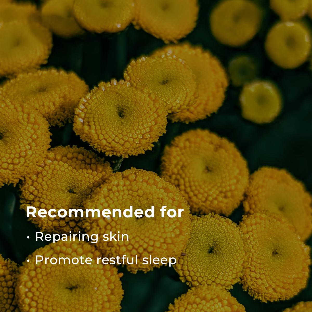 INNA ORGANIC Nighttime routine scene promotes relaxation and prep for restful sleep