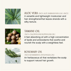 Sweet Spirit ingredients like aloe and rosemary nourish without weighing hair down.