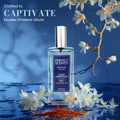 InStyle Fragrances Baccarat Rouge 540–inspired note map shows luxurious saffron jasmine harmony.