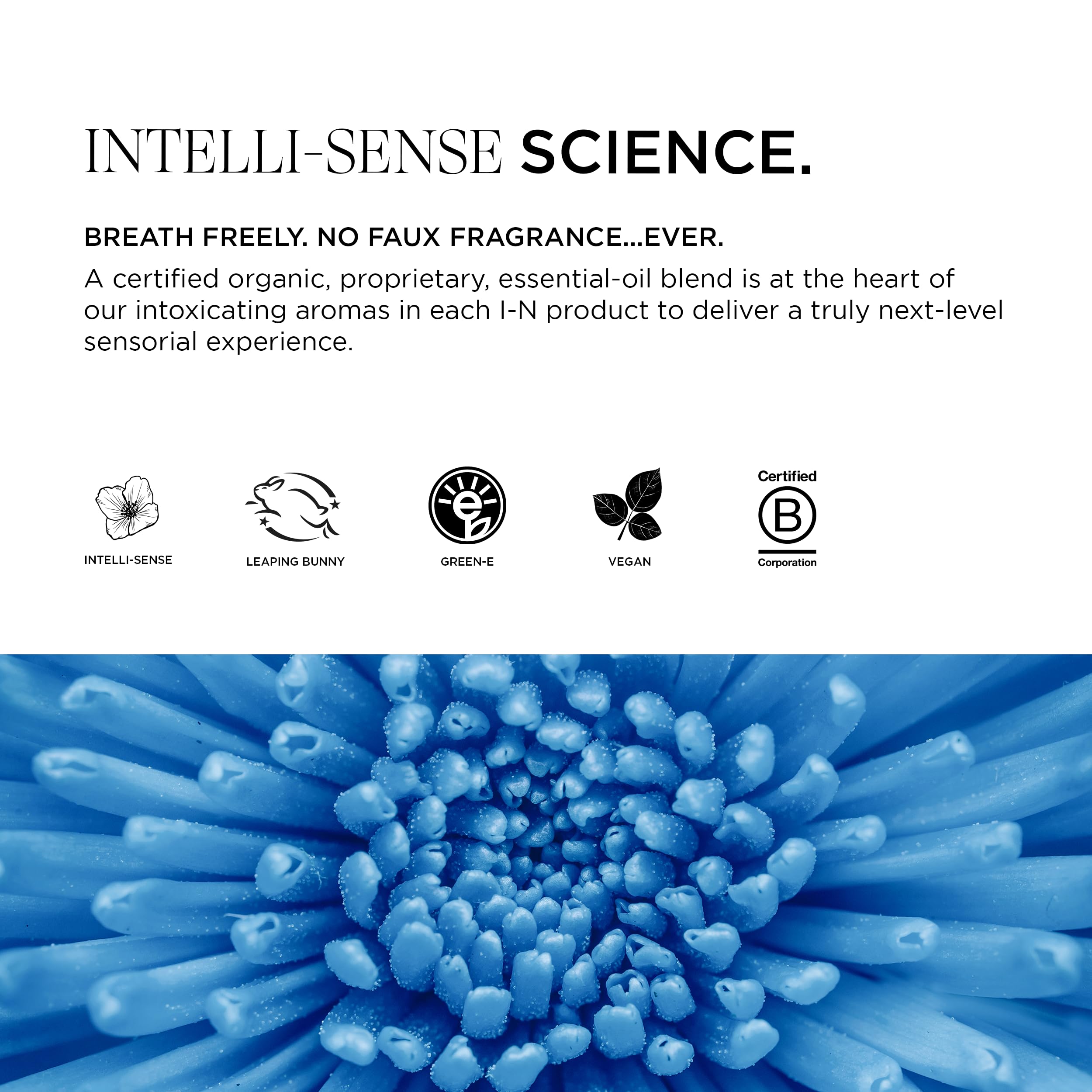 Intelligent Nutrients Amplifi-hair Intelli-Seed ingredient blend with antioxidants