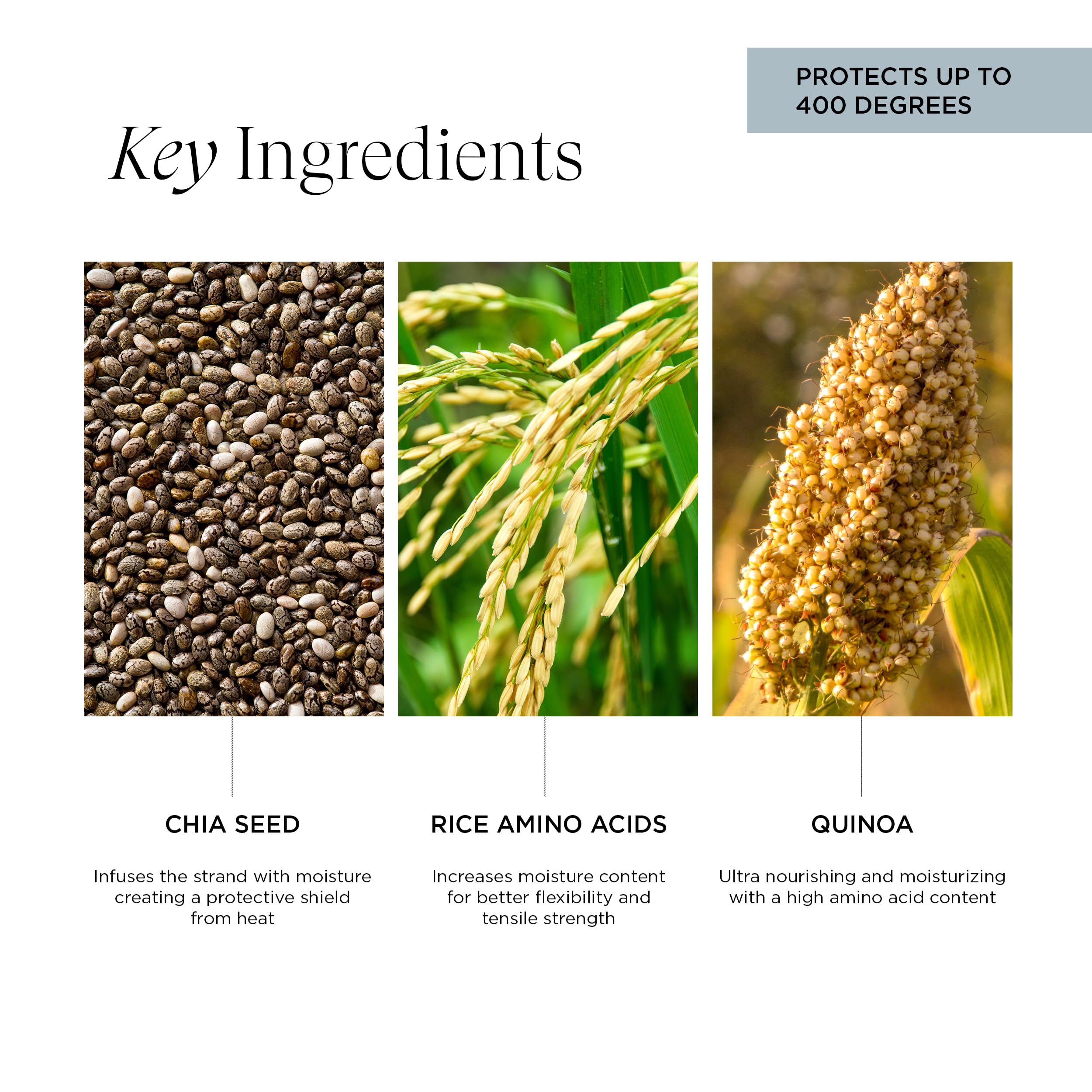 Intelligent Nutrients anti-frizz-shine primer smooths and adds natural shine.