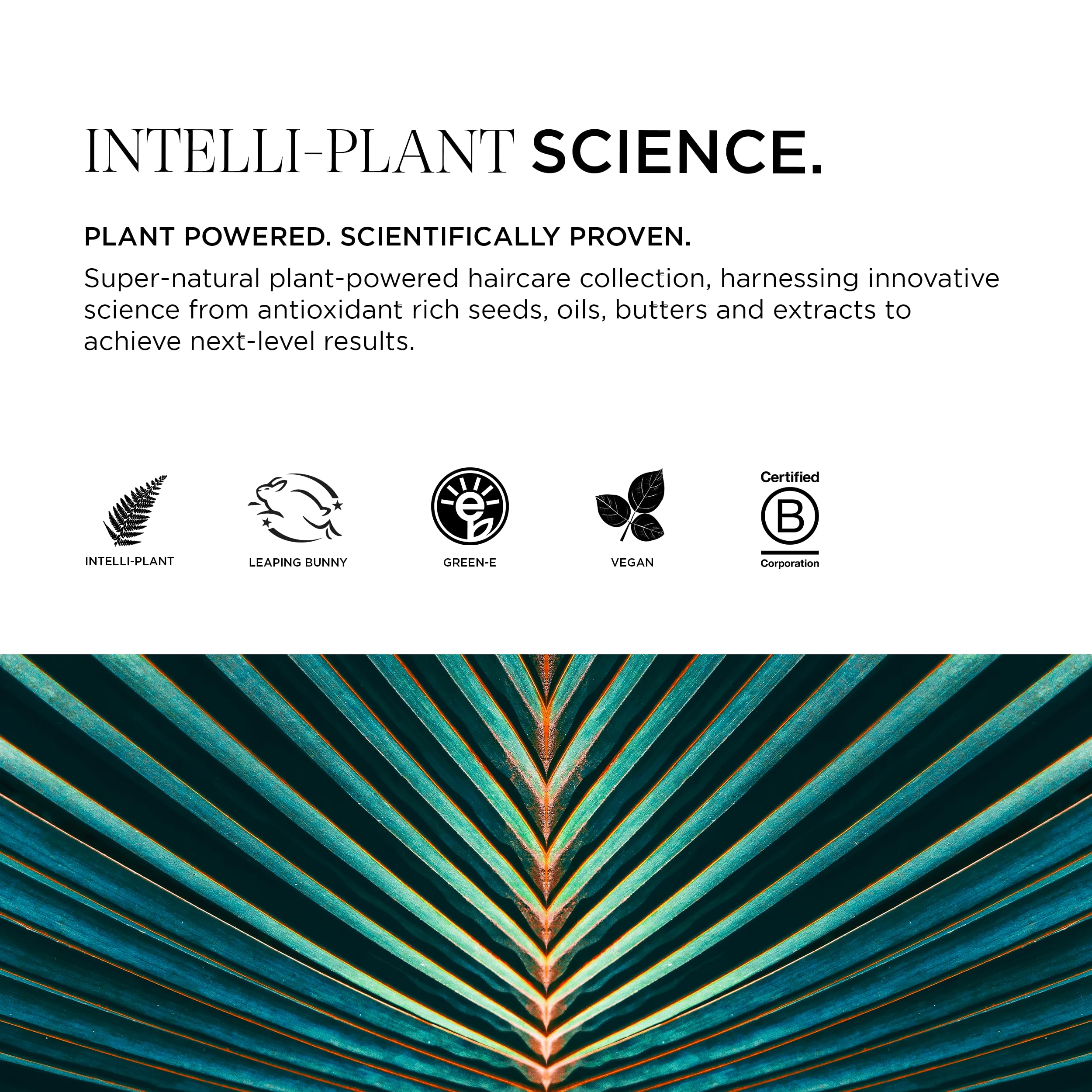 Eco packaging of Intelligent Nutrients Fortifi-hair shampoo