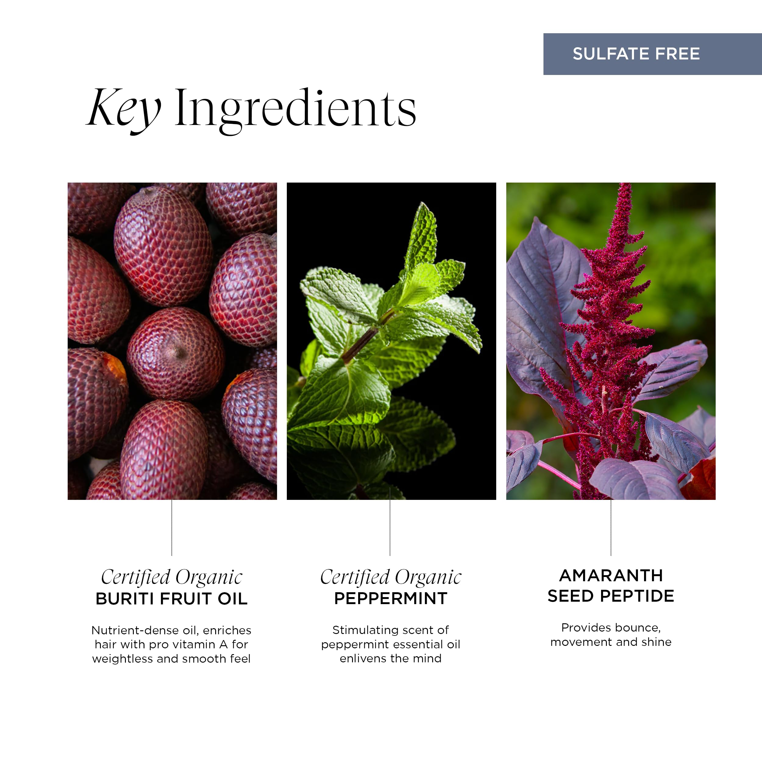Intelligent Nutrients InspiraMint foamy lather shown on hair for a refreshing wash.