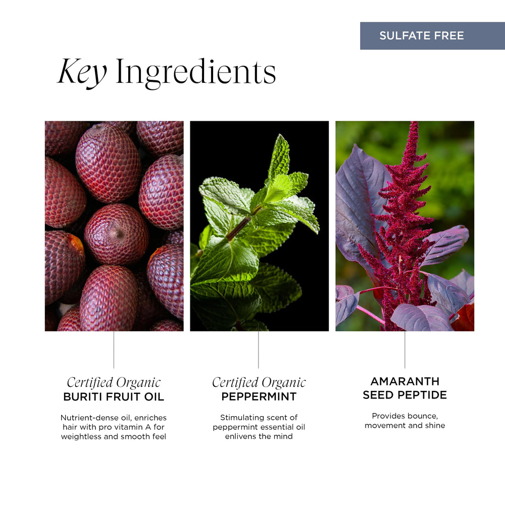 Intelligent Nutrients InspiraMint foamy lather shown on hair for a refreshing wash.