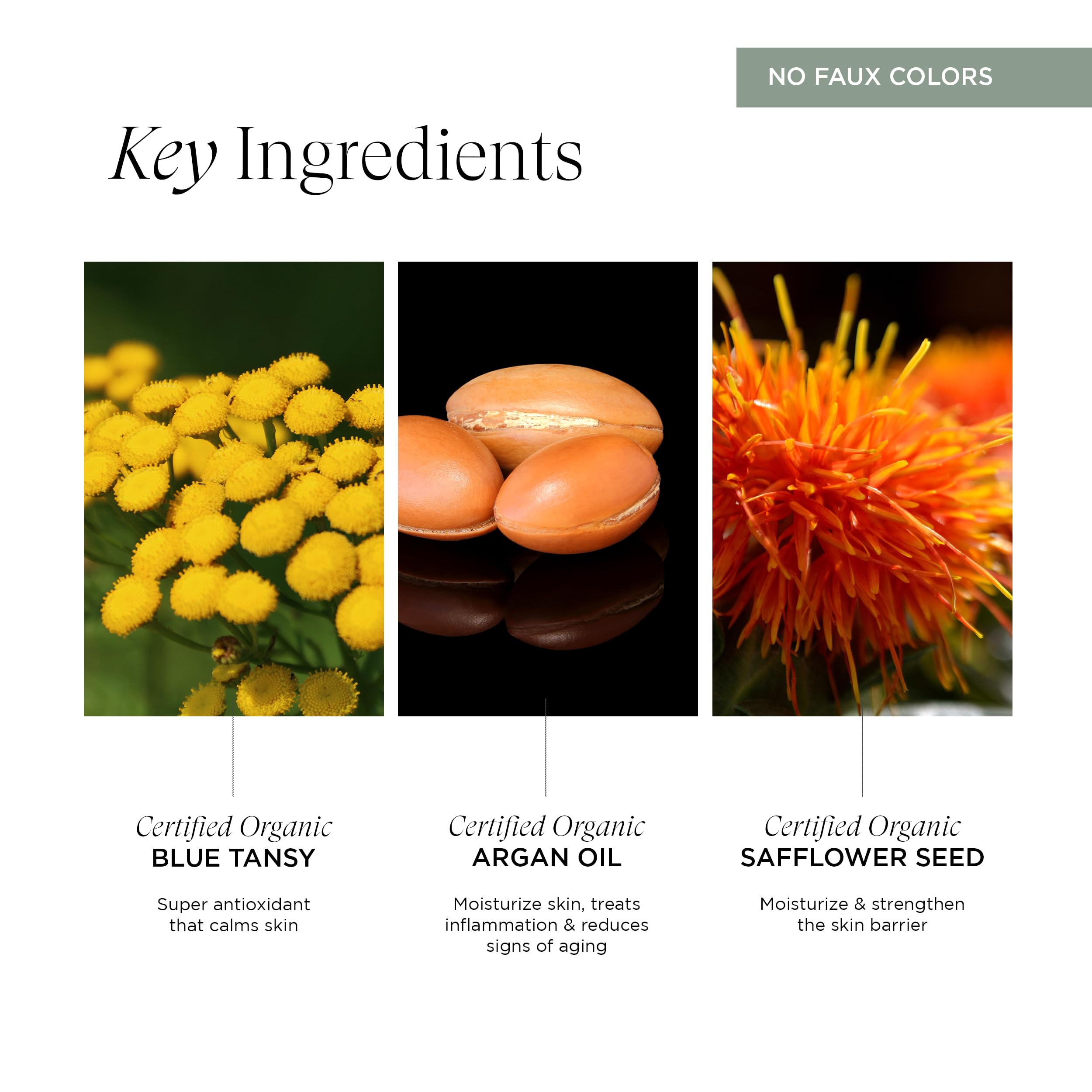Intelligent Nutrients Liquid Green Face Oil close-up highlights blue tansy.