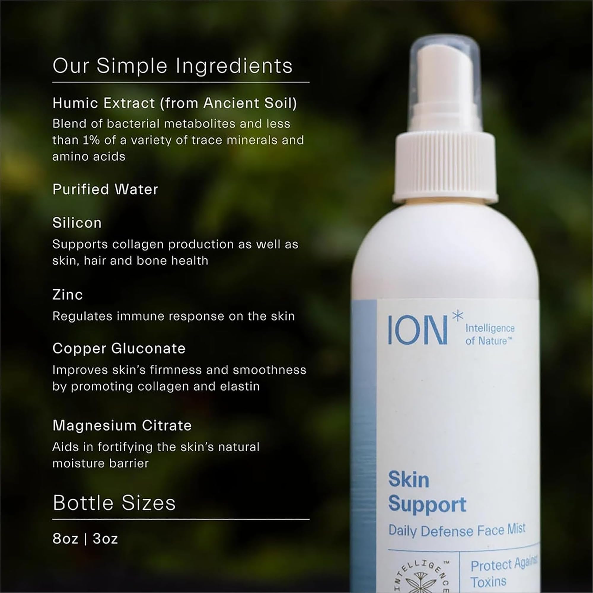 ION Skin Support mineral-ingredients close-up highlighting silicon, zinc, and magnesium.