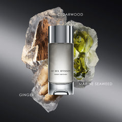 Issey Miyake Le Sel d'Issey salt accord label emphasizing marine vibe for daytime use.