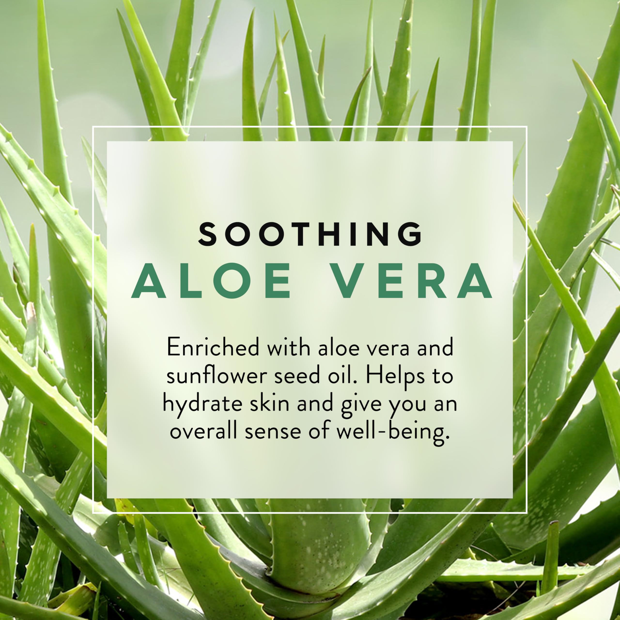 JASON Aloe Vera Soothing Body Wash with sunflower oil emphasizes natural ingredients