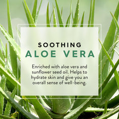 JASON Aloe Vera Soothing Body Wash with sunflower oil emphasizes natural ingredients