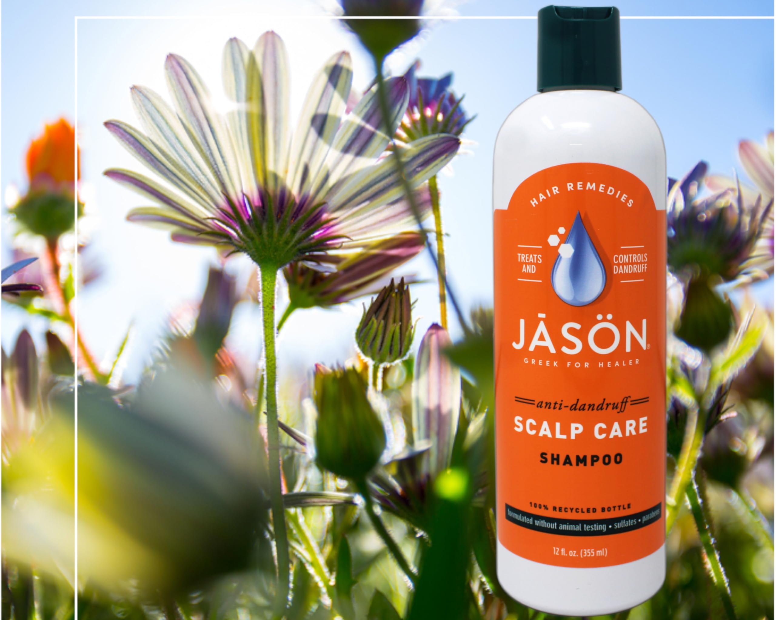 Jason Dandruff Relief Shampoo after-use hair appears softer and cleaner.