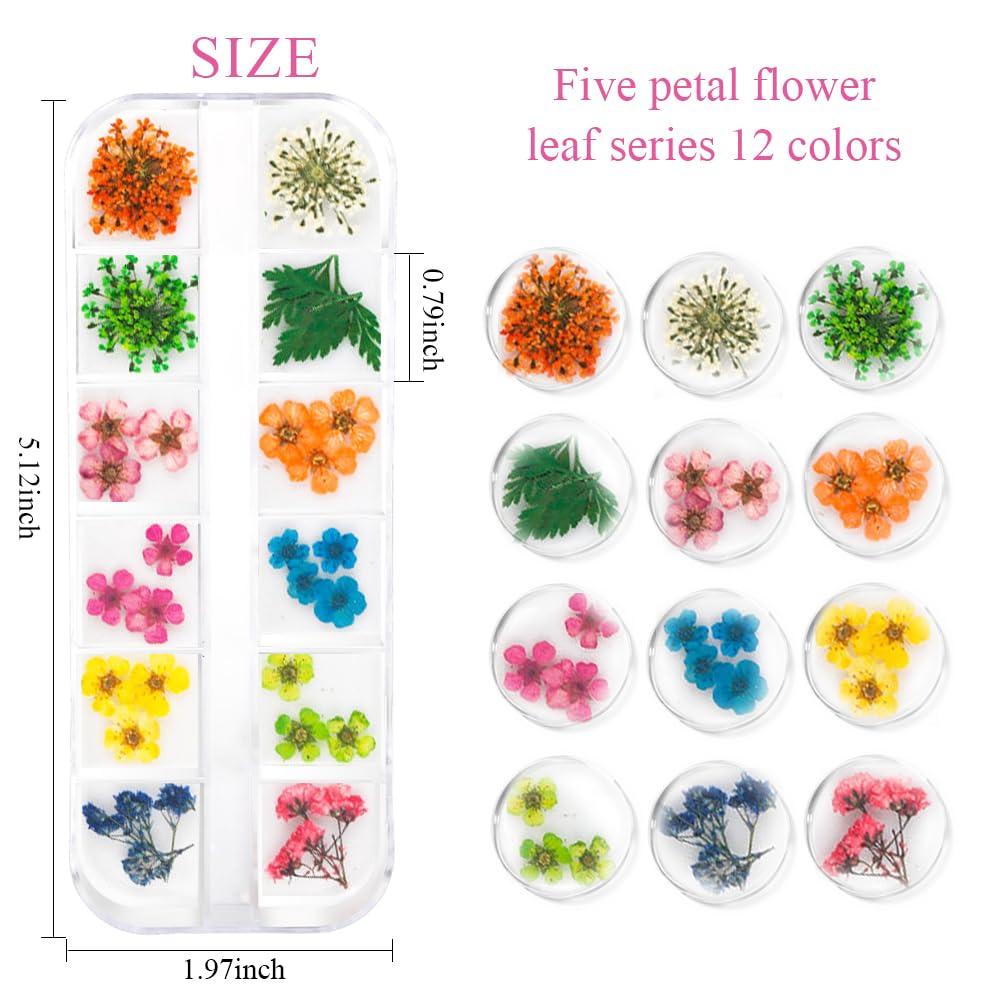 Jauomune five-petal flower accents create subtle nail art.