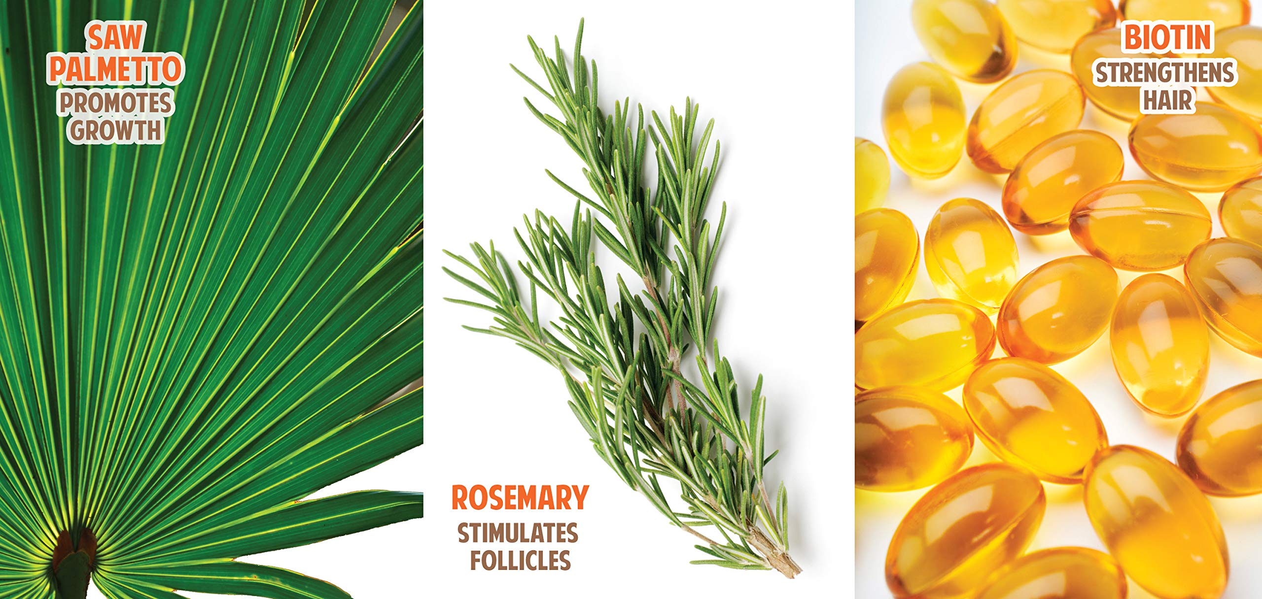 jf labs Organic Hair Energizer natural-ingredients showcases Pro Vitamin B5 for moisture