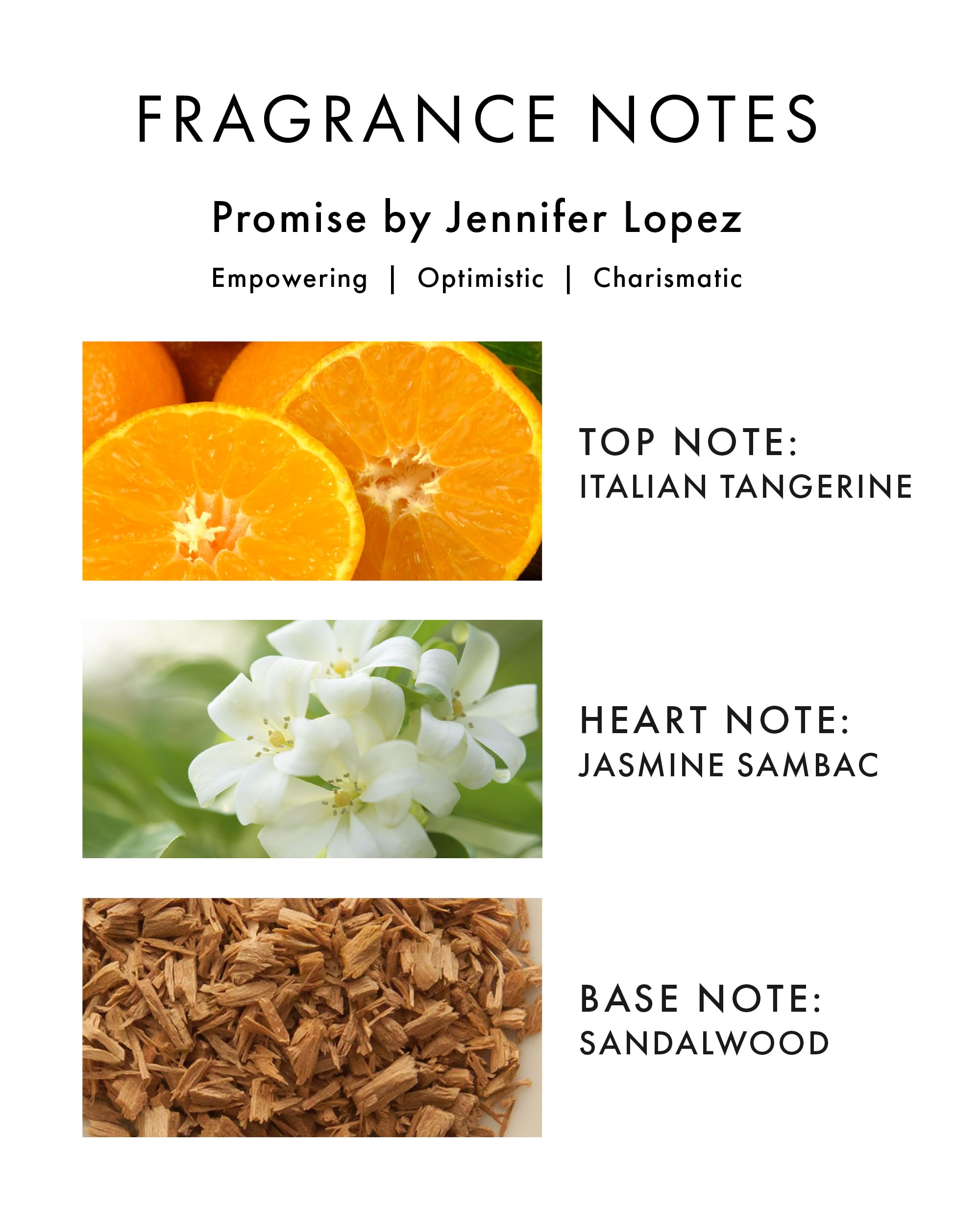 Jennifer Lopez Promise packaging detail, shimmering accents enhance luxury appeal.