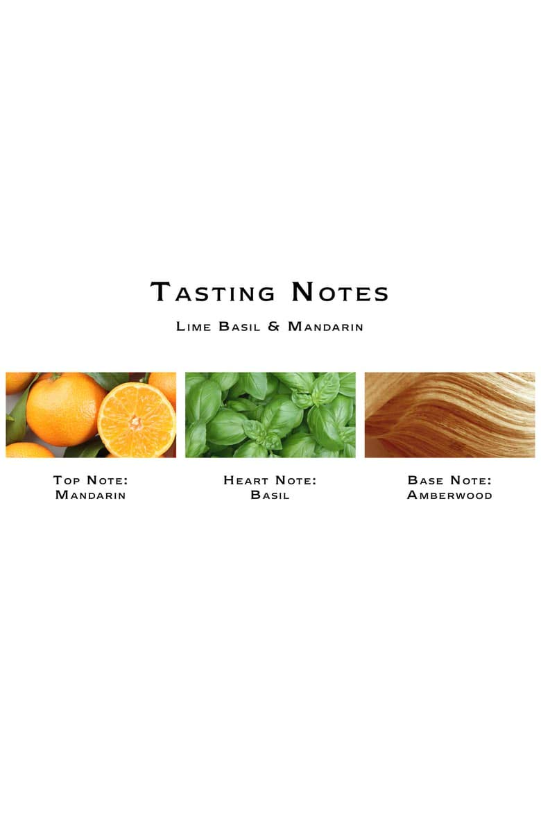 Jo Malone Lime Basil & Mandarin Shampoo foam showing refreshing lather.