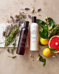 Lavender and rosemary lather close-up from John Masters Organics shampoo soothing the scalp