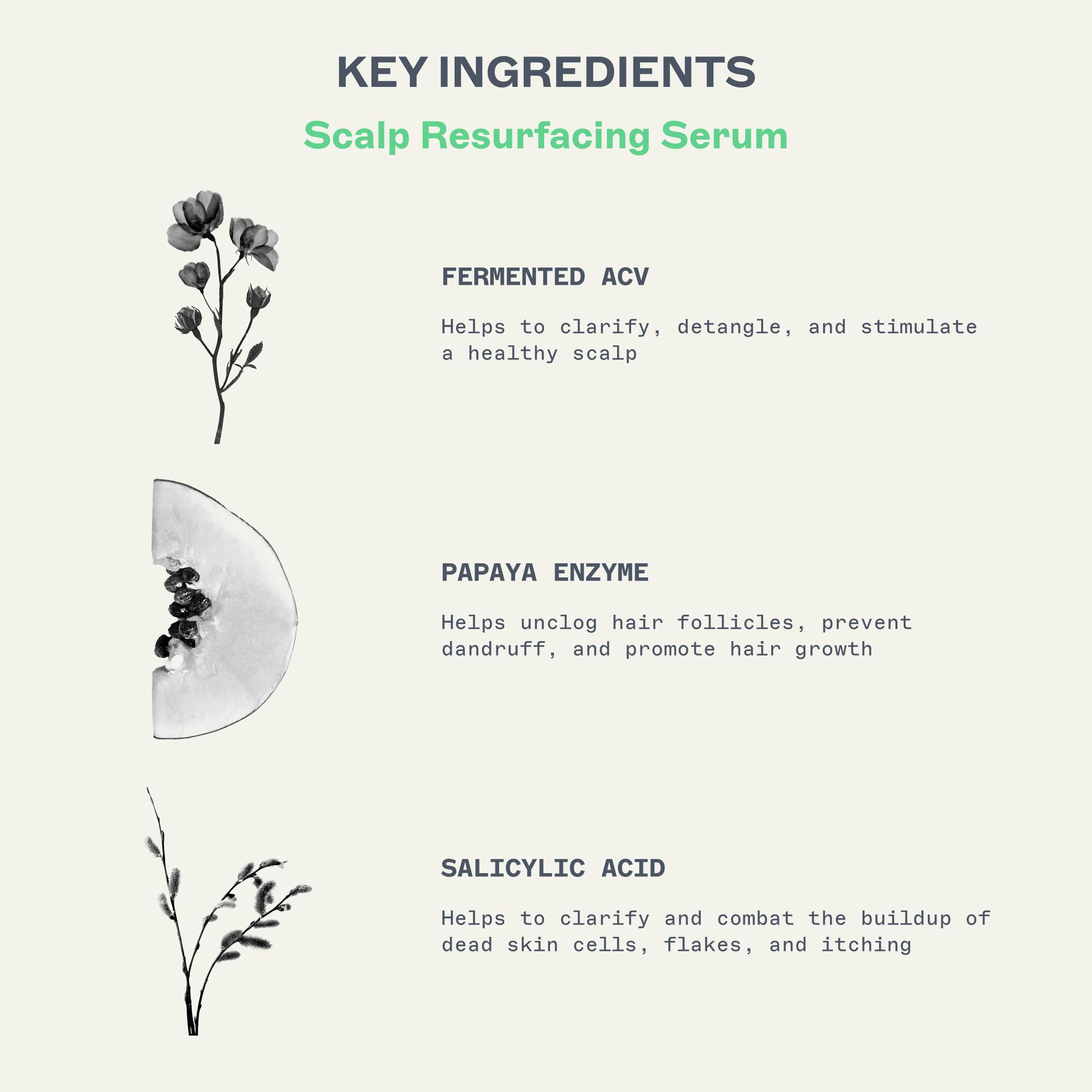 Jooy ginger root close-up highlighting energizing, soothing scalp ingredients