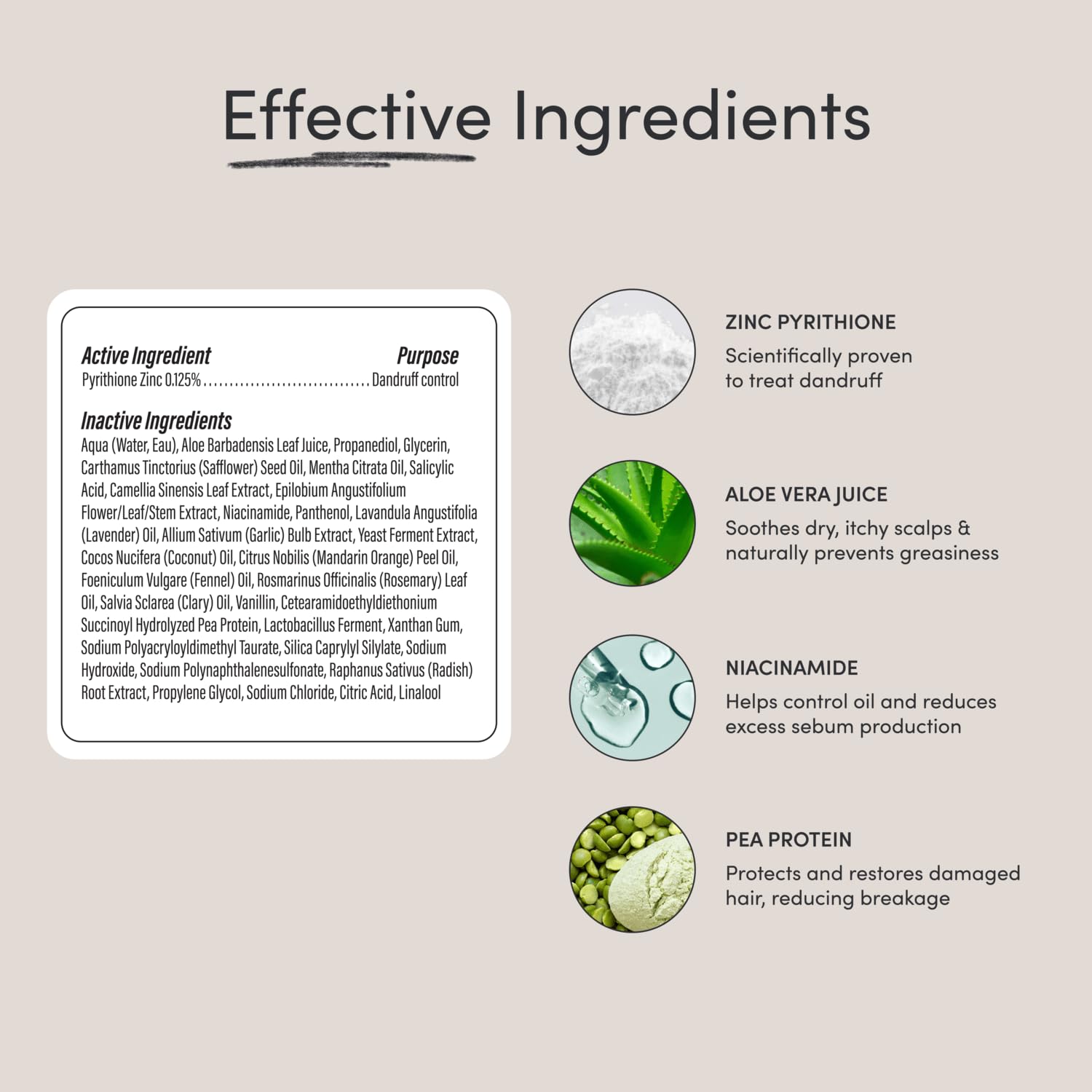 Ingredients aloe vera and niacinamide in Jupiter Restoring Scalp Serum.