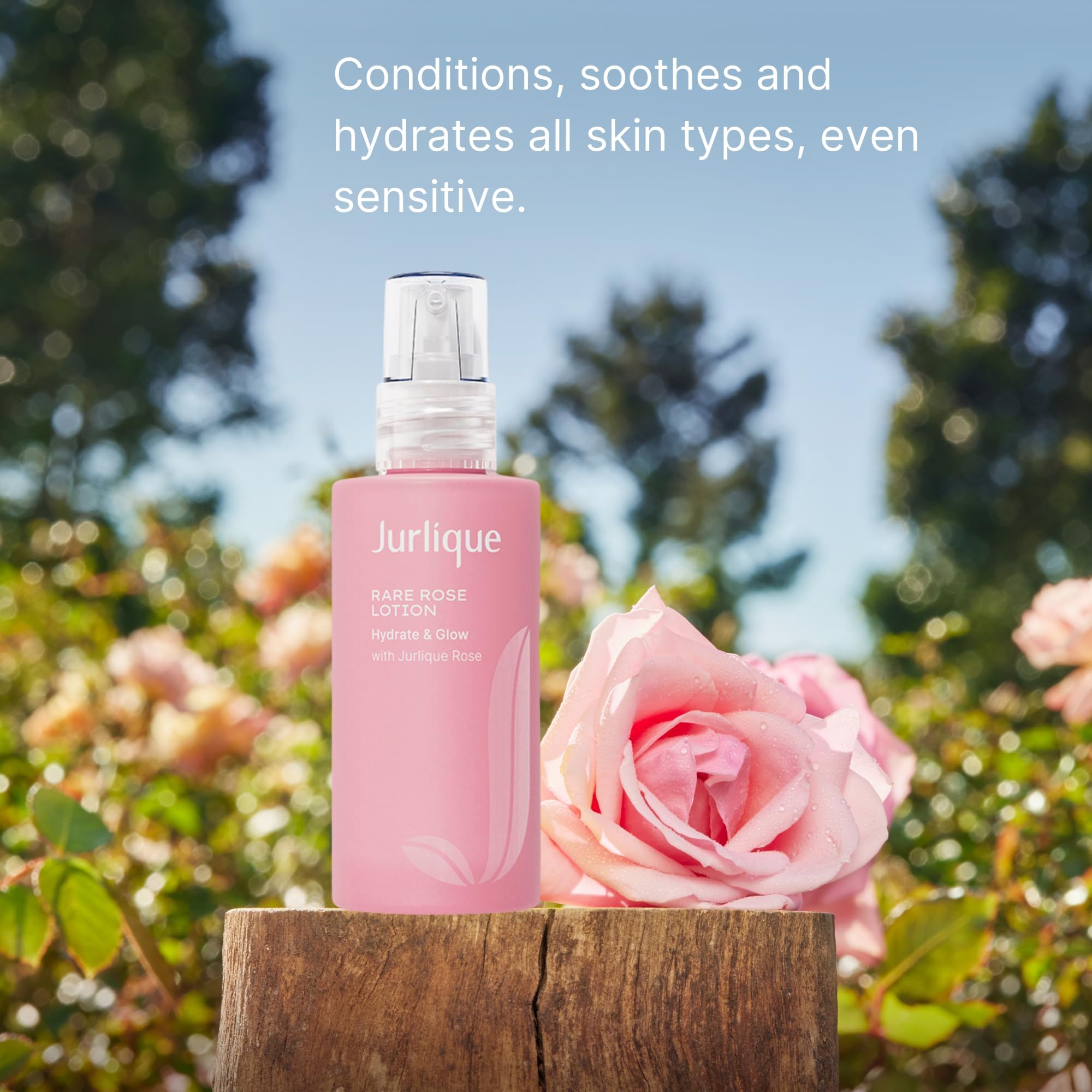 Applying Rare Rose Lotion to clean skin for moisture