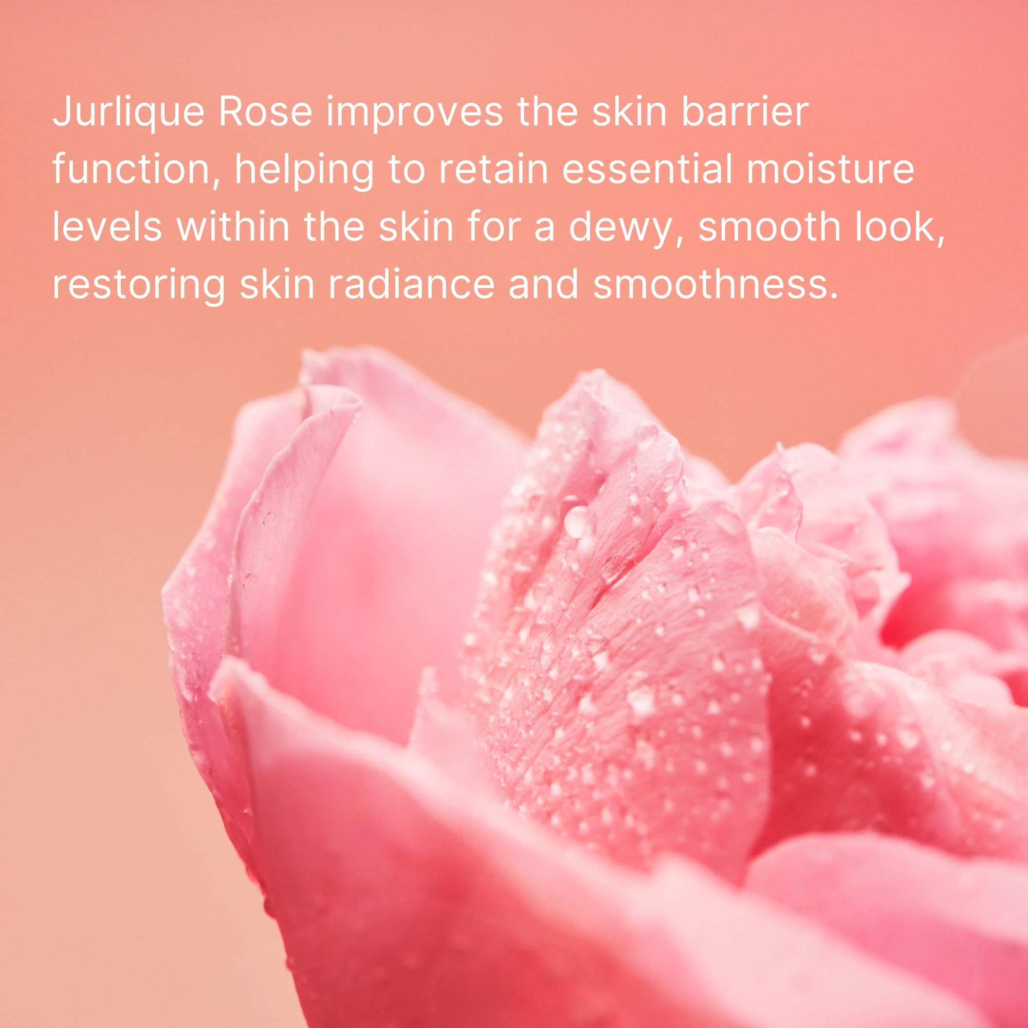 Pump dispenser of Jurlique Rare Rose Lotion in natural light