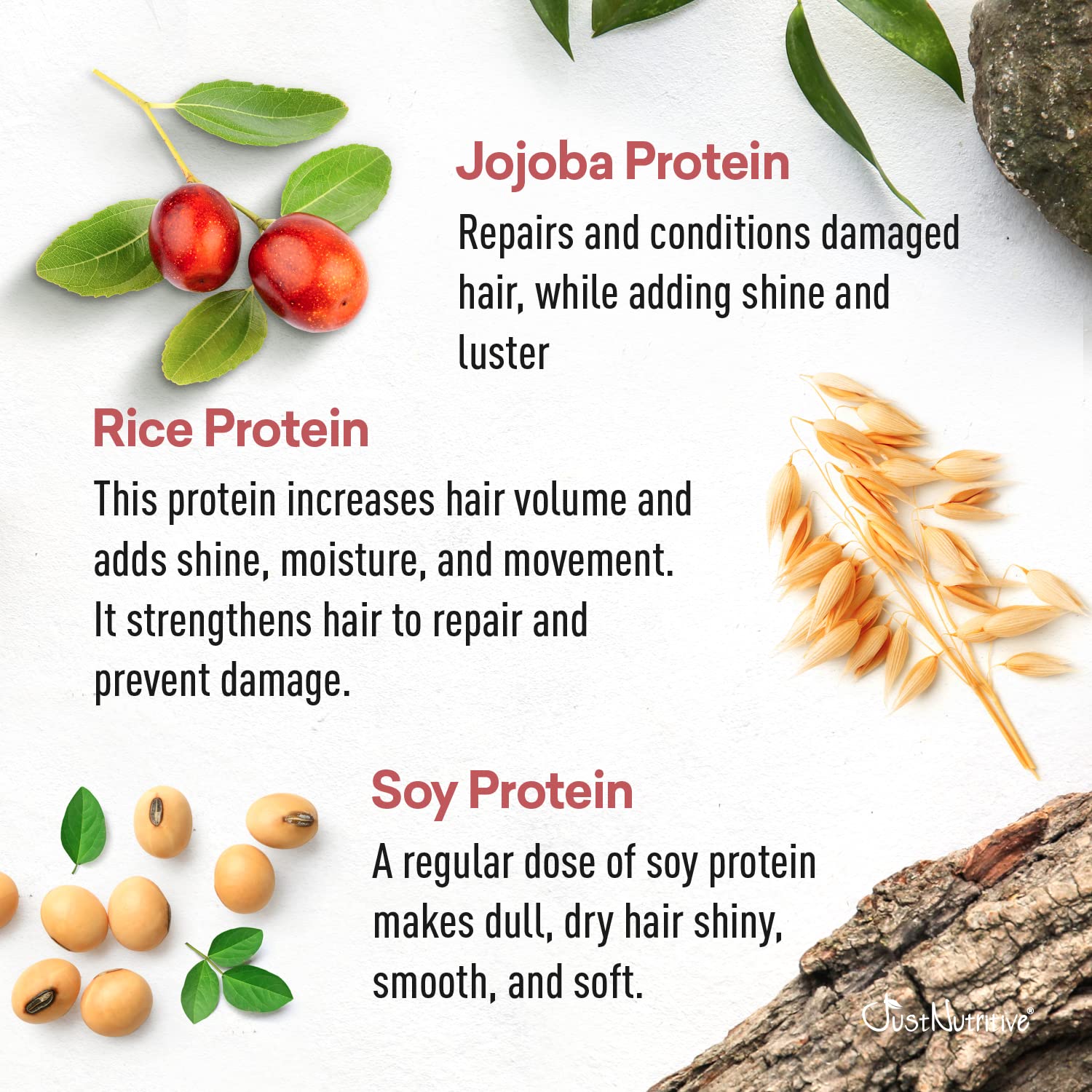 Just Nutritive burdock ingredient label focus suggests dry scalp relief and stronger strands.