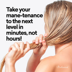 Just Nutritive Thicker Hair Conditioner ingredients-scene features avocado, jojoba, carrot oils.