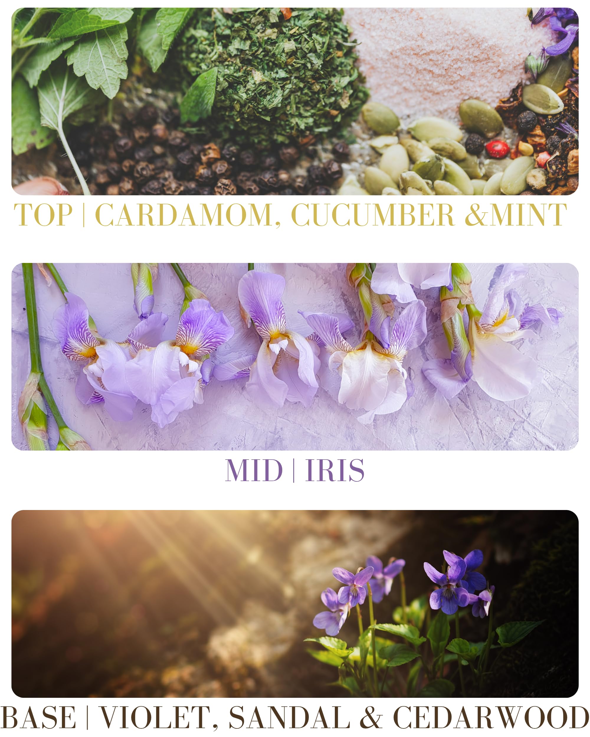 Kailuna Co Santal cap detail highlights premium packaging and portability