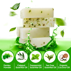 KAKABUBBLE Classic Tea Tree Soap foamy lather ready for post-workout refresh