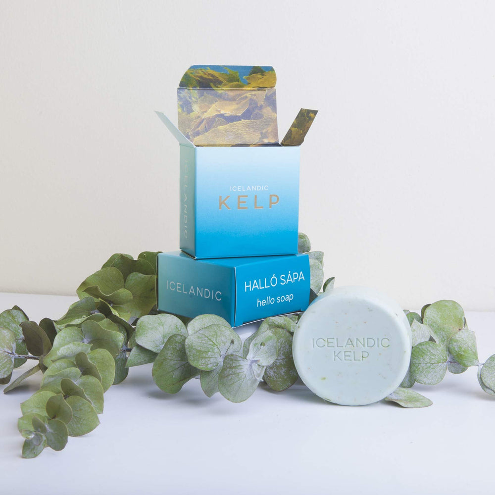 Kalastyle Icelandic kelp moss soap in two-pack ideal for daily routine